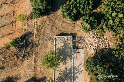 Landejendom i Sierra Engarceran, Castellon, Sierra Engarceran - € 300.000 | Ref: 903 - foto 43